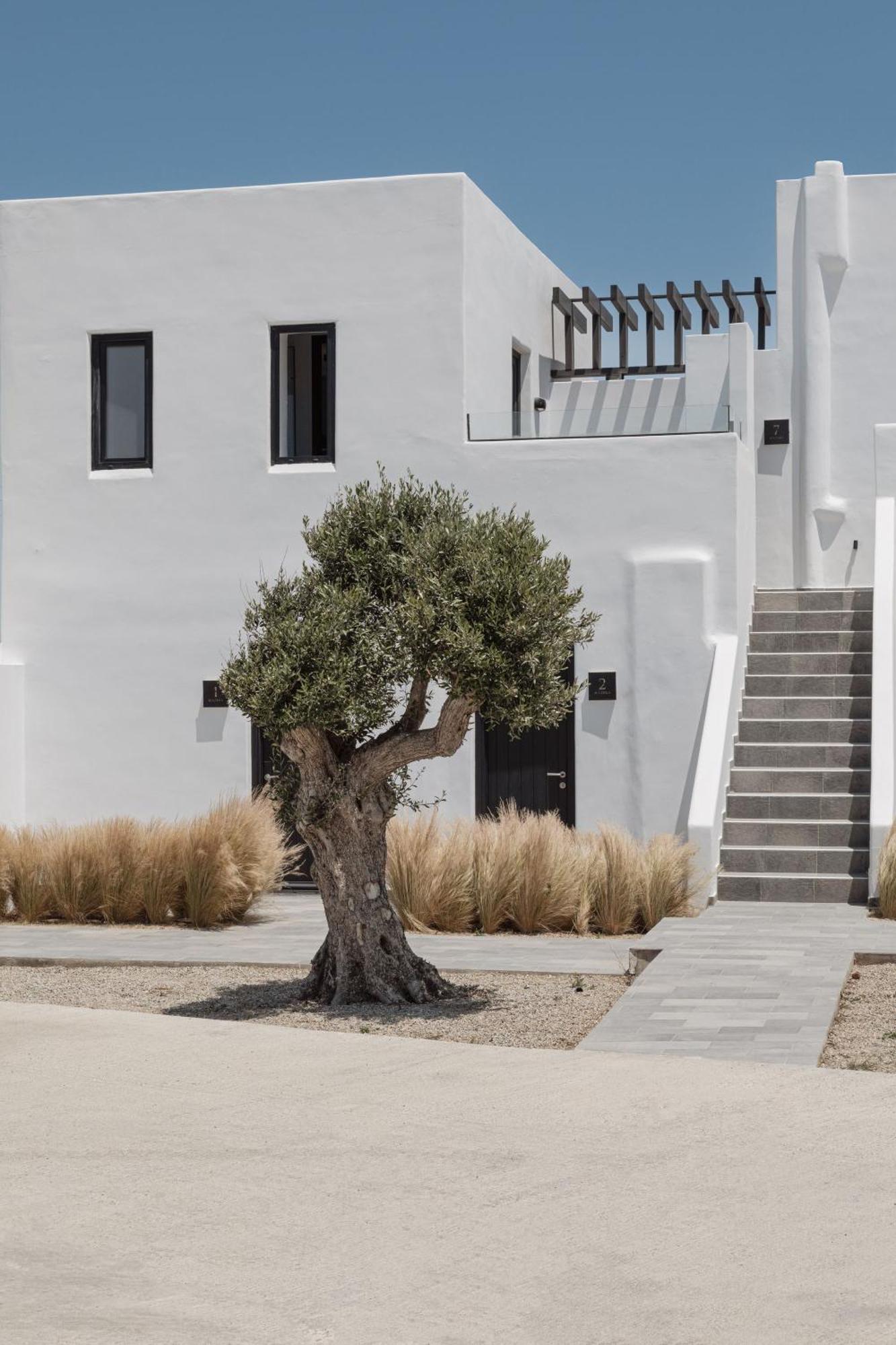 Laguna Suites In Mazera Mykonos Mykonos Town Exteriör bild